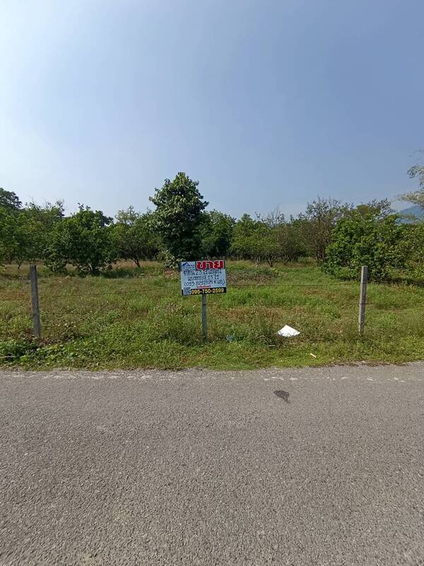 ขายที่ดิน 22-1-71.4 ไร่ ซอยมะขามป้อม ต.สาริกา อ.เมือง จ.นครนายก  